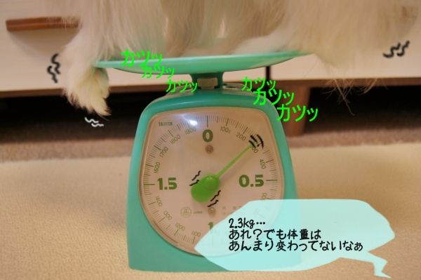 04DSC05458