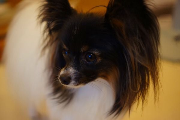 DSC02720
