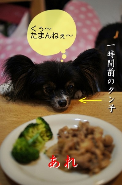 03DSC08572