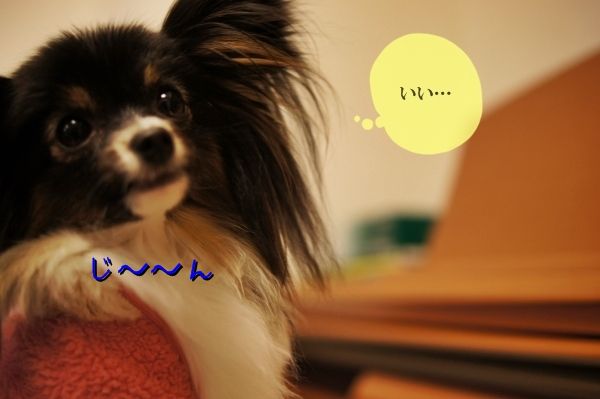 05DSC05030