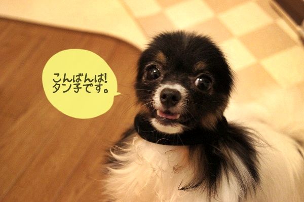 000DSC01821