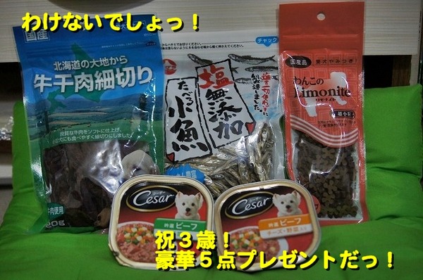 05DSC07597