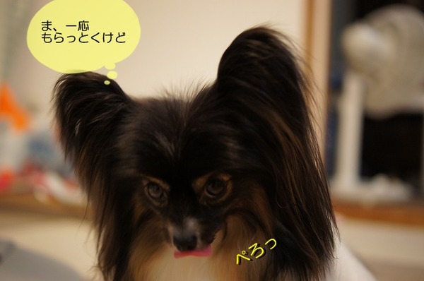 08DSC07931