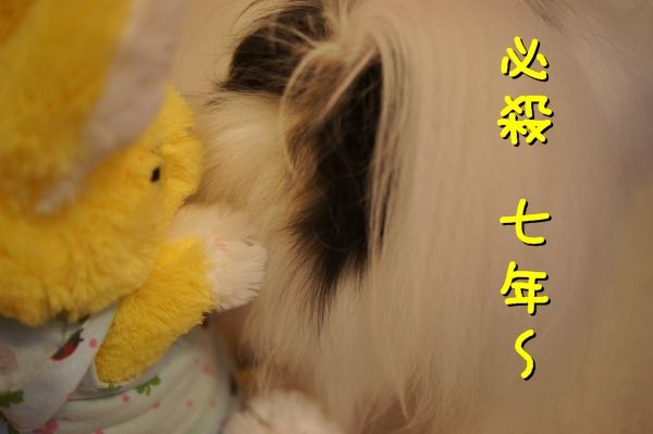 092DSC04199