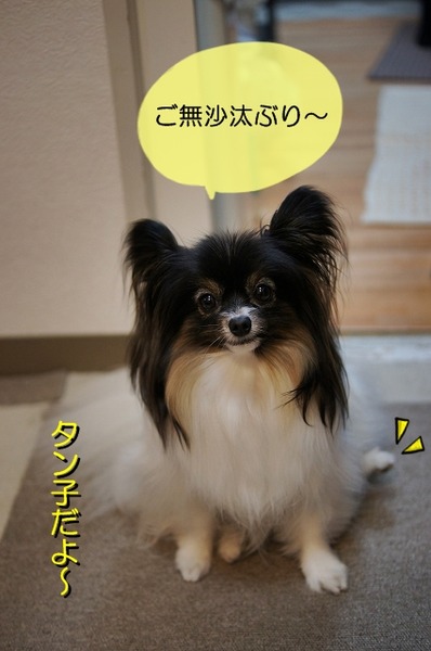 00DSC08515