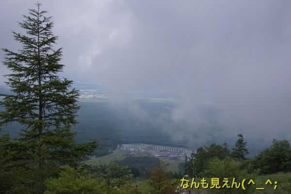 05DSC07068