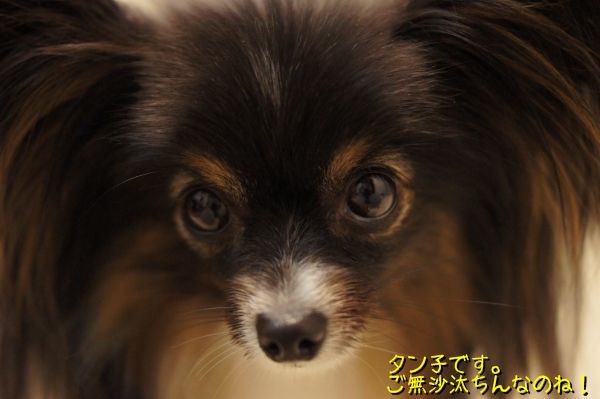 07DSC06560