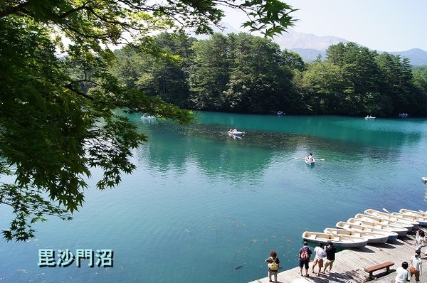 08DSC07860