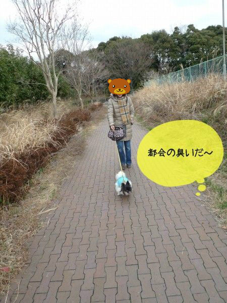 BlogPaint