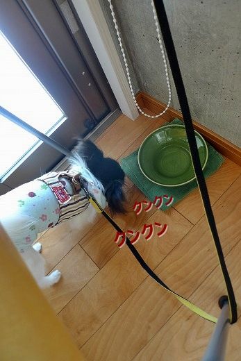 91P1080735
