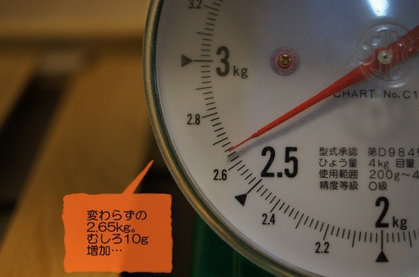 04DSC07924