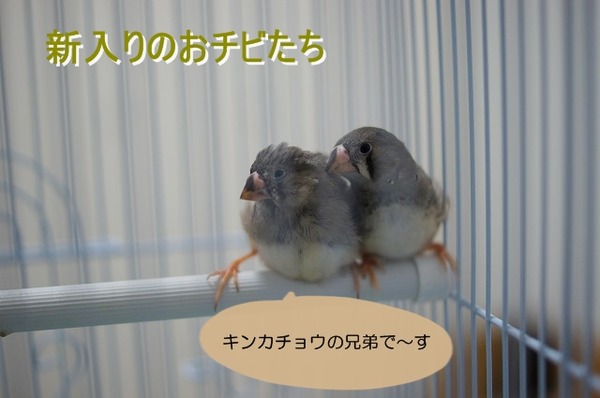 00DSC07962