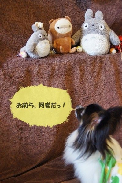 00DSC04506