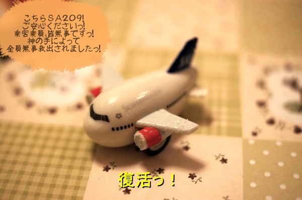 07DSC02957