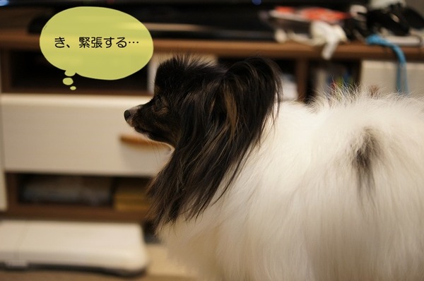 02DSC07918