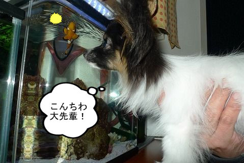 BlogPaint