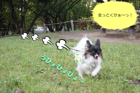 5DSC00171