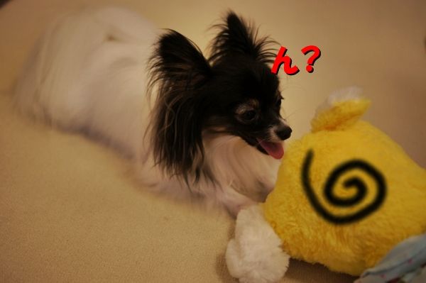 09DSC04251