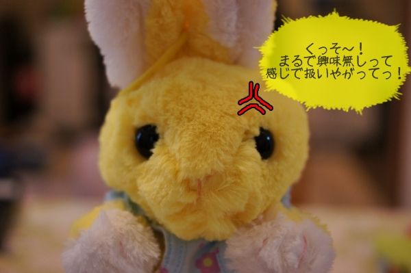 09DSC04059