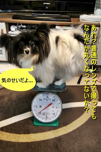 05DSC07460