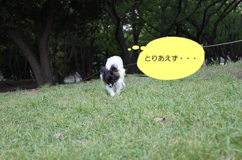 4DSC00149