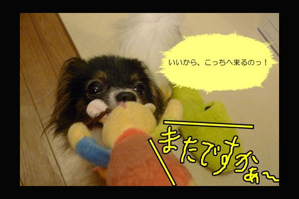 名称未設定-1