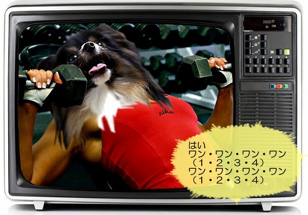 07tv-waku8
