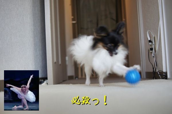 jpg
