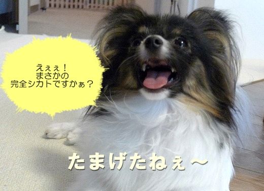 5名称未設定-2
