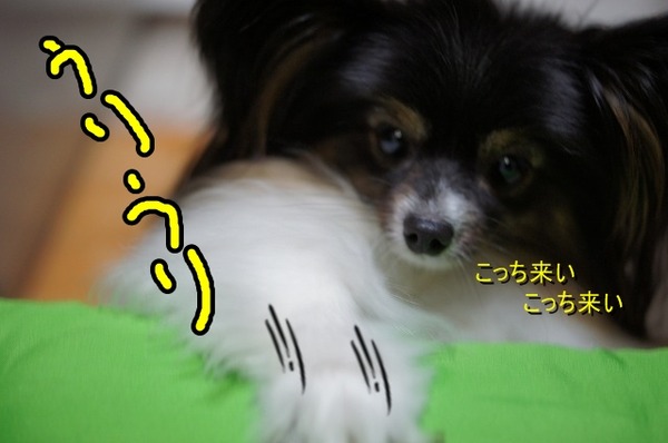 09DSC07635