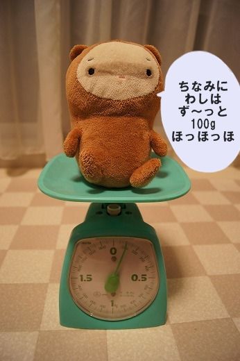 07DSC00693