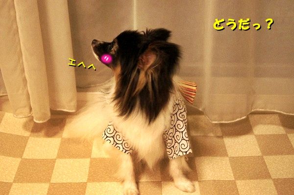 09DSC02399