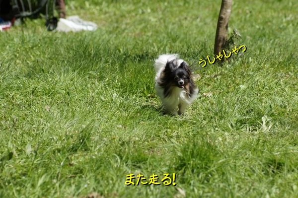 06DSC05931