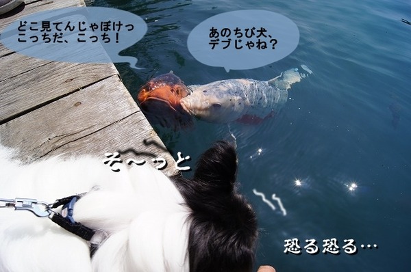 01DSC07867
