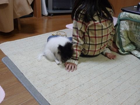 P1010010