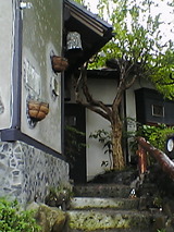 竹やぶ15