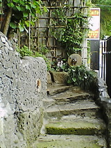 竹やぶ4