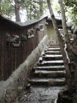 竹やぶ11