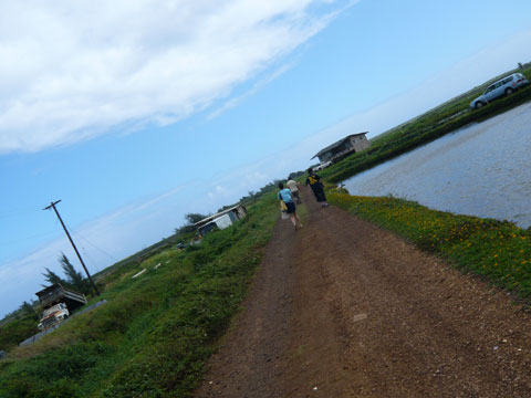 エビ釣りツアー ロミーズ のんびりとした風景2