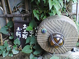 竹やぶ5