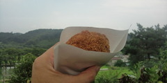 20100802131424