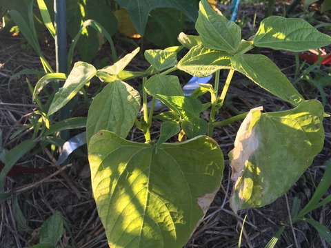 617E9B45-0F79-43DB-90E4-887049E2052A