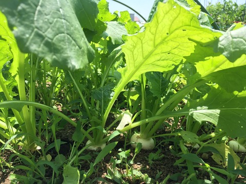 3ABF349A-801C-47DE-8912-04F7AB39496C