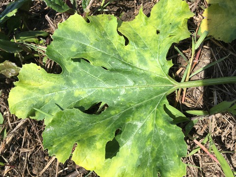 9C7CE18A-C07D-40AE-84E9-0245DD46726C