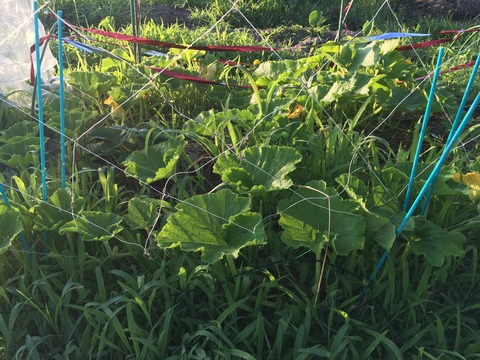 2AB28762-5305-4429-8368-4F45B1EF7085