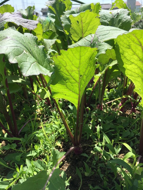 2B663E4C-36B2-4B9E-B9ED-6A80B9482D91