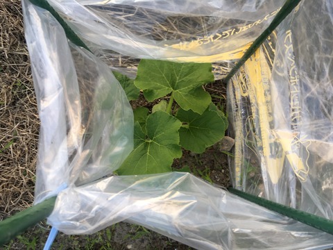 032697EB-FCBD-4906-9556-50A6597BC52B