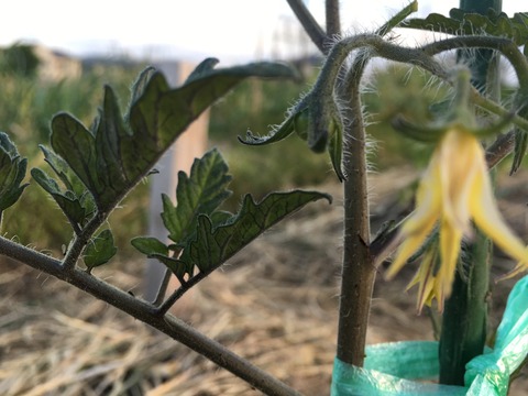 0B194C80-3B1B-46B3-85A9-87D1F949B4B3