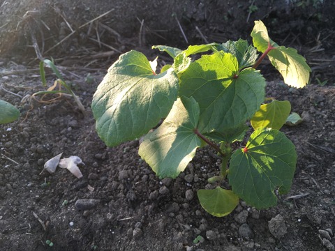 9B2CAF72-F916-4228-AD6A-46C0AAACDE9D