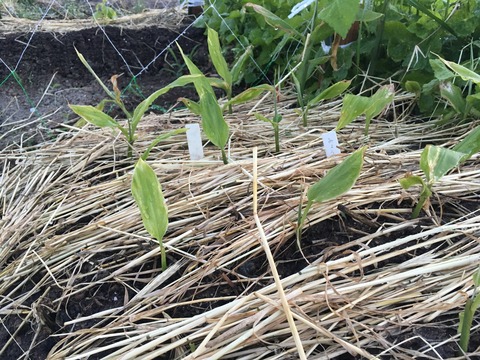 7B6EBF81-25BF-404A-B437-B3E3722ADDCD